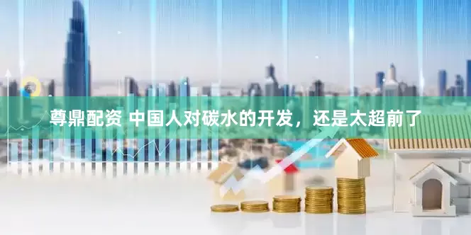 尊鼎配资 中国人对碳水的开发，还是太超前了