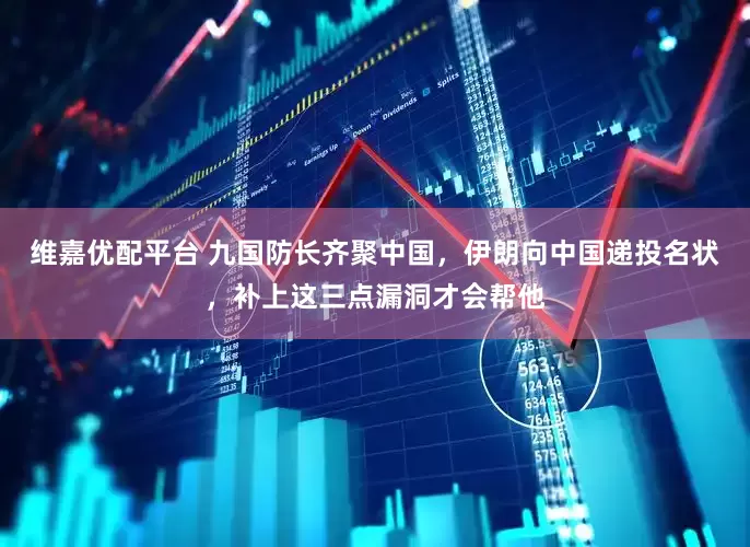 维嘉优配平台 九国防长齐聚中国，伊朗向中国递投名状，补上这三点漏洞才会帮他