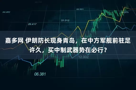 嘉多网 伊朗防长现身青岛，在中方军舰前驻足许久，买中制武器势在必行？