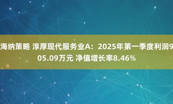 海纳策略 淳厚现代服务业A：2025年第一季度利润905.09万元 净值增长率8.46%