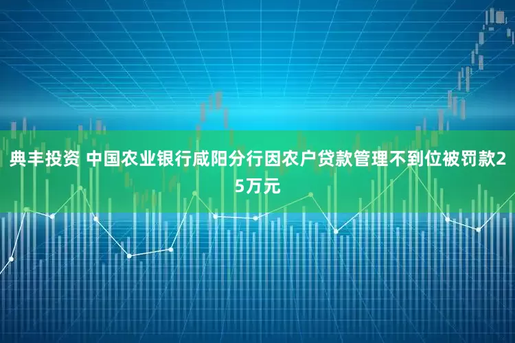 典丰投资 中国农业银行咸阳分行因农户贷款管理不到位被罚款25万元