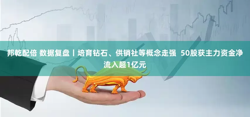 邦乾配倍 数据复盘丨培育钻石、供销社等概念走强  50股获主力资金净流入超1亿元